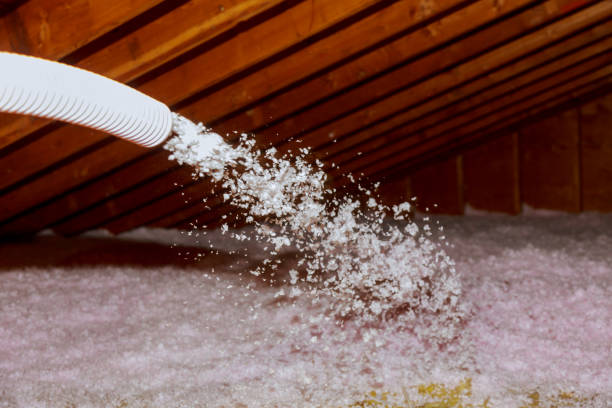 Best Attic Insulation Installation  in City View, SC