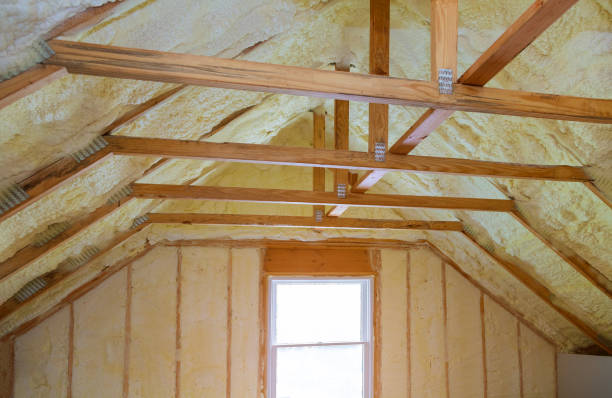 Best Insulation Contractor Near Me  in City View, SC