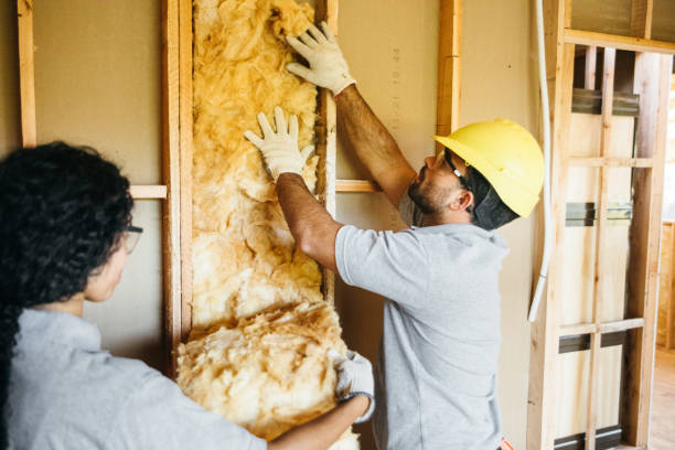 Best Energy-efficient Insulation  in City View, SC