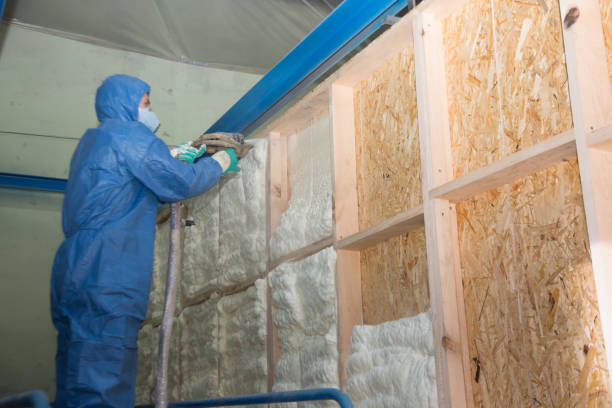 Insulation Inspection Services in City View, SC